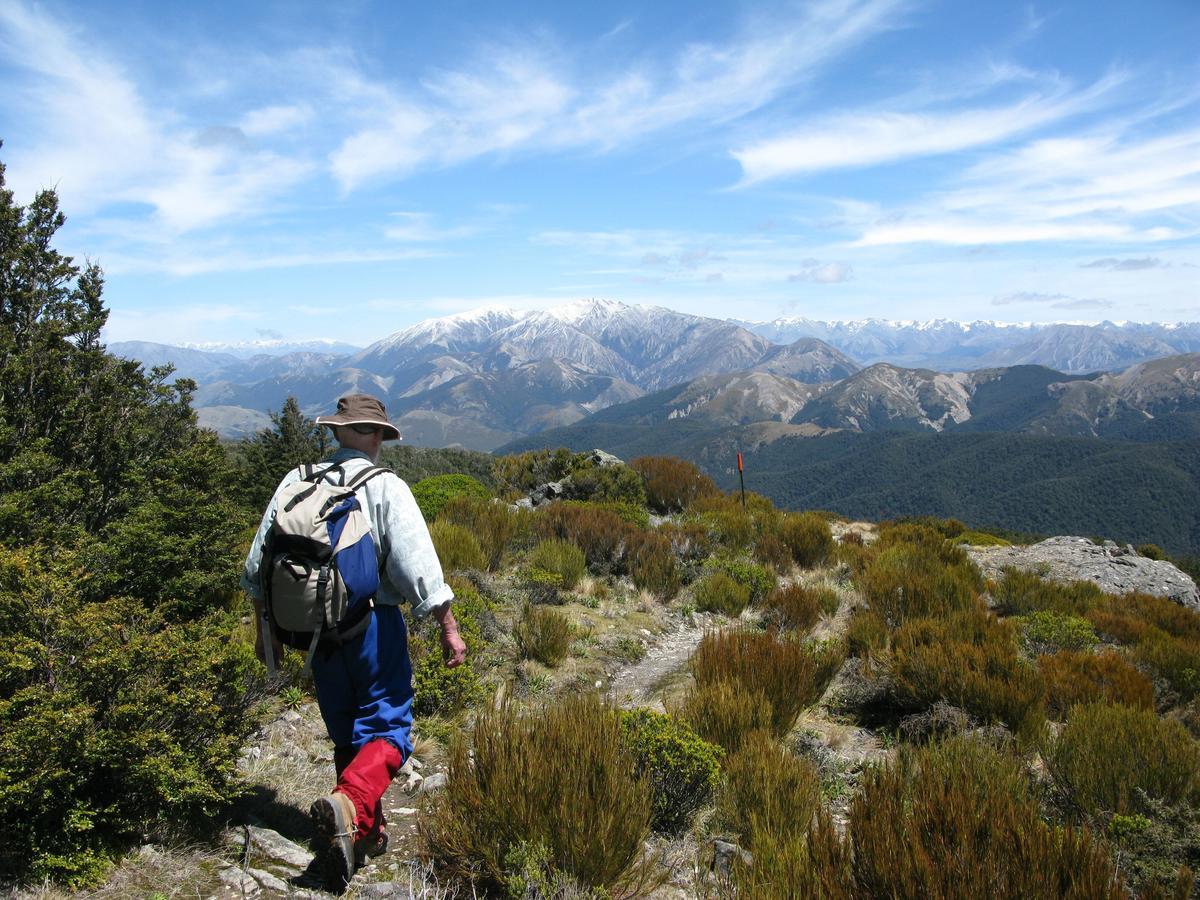 Oxford Queenette Backpackers מראה חיצוני תמונה